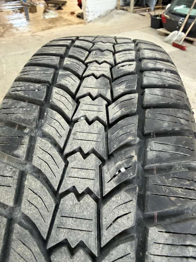Sava, всесезонные 205/60 R16