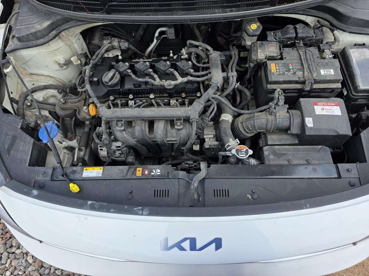 Kia Rio, 1.2 l., hatchback