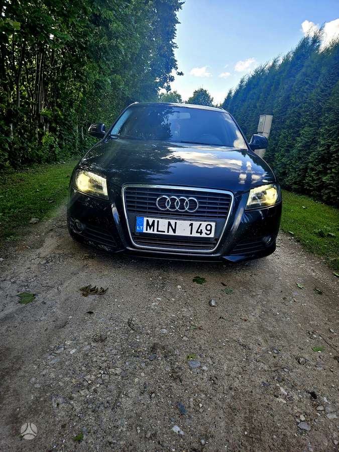 Audi A3, 2.0 l., hečbekas