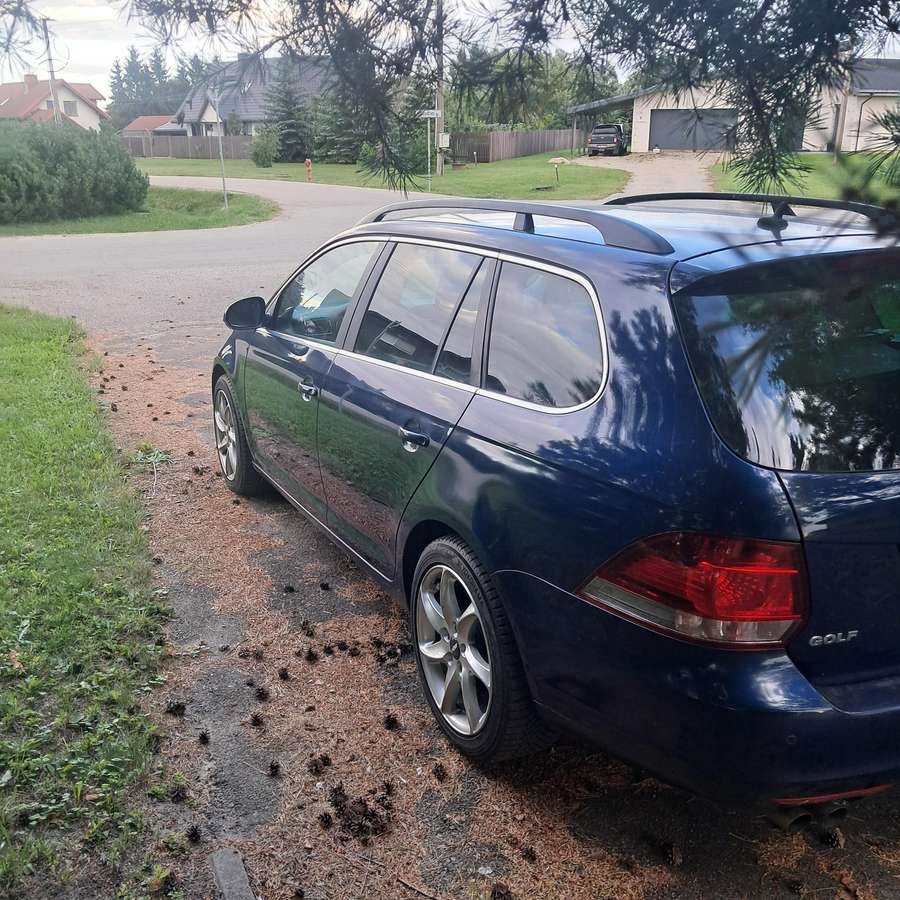 Volkswagen Golf, 2.0 l., Универсал