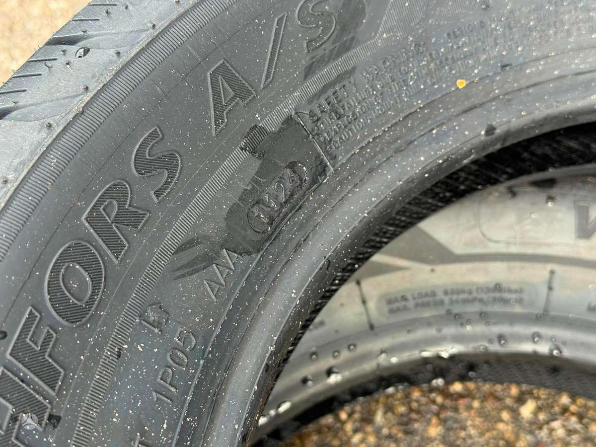 Windforce CATCHFORS A/S | 2024, universalios 185/65 R15