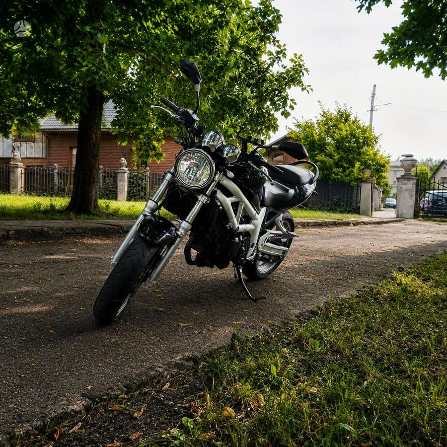 Suzuki SV 650cc, street / classic
