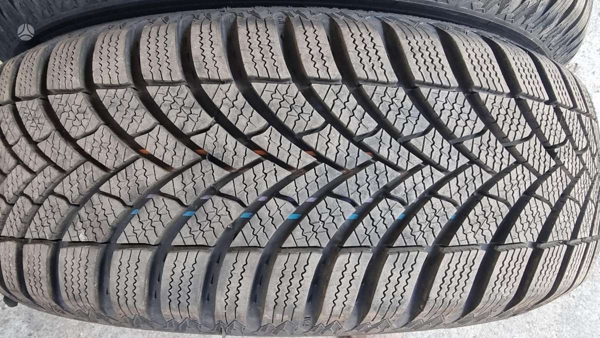 Semperit Speed-Grip 5, winter 195/65 R15