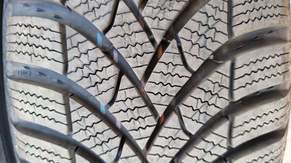 Semperit Speed-Grip 5, winter 195/65 R15