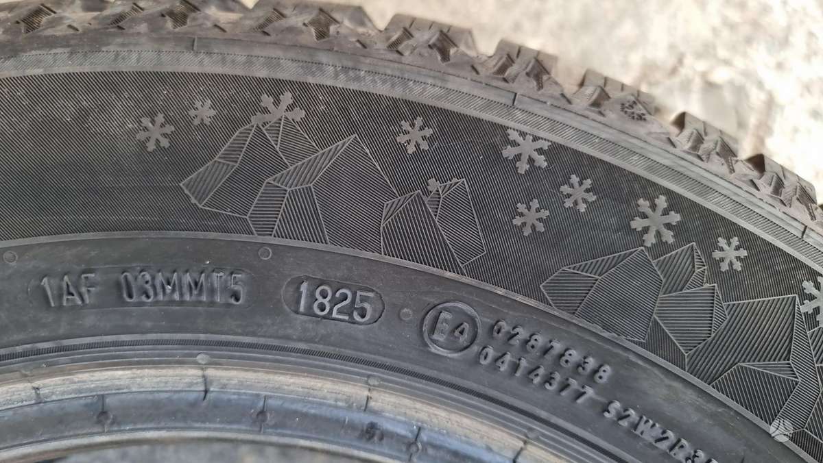 Semperit Speed-Grip 5, winter 195/65 R15