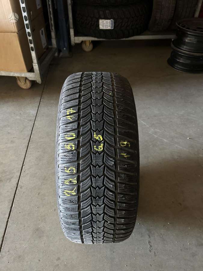 Sava Eskimo hp2, universalios 225/50 R17