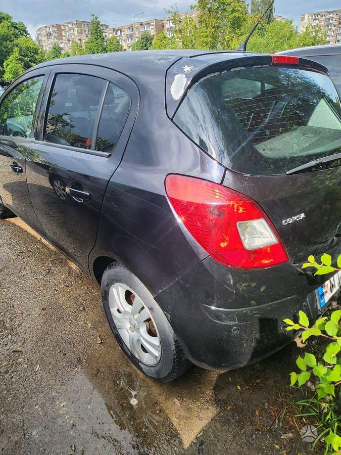 Opel Corsa, 1.3 l., hatchback