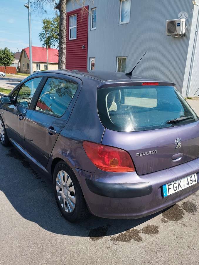 Peugeot 307, 2.0 l., hatchback