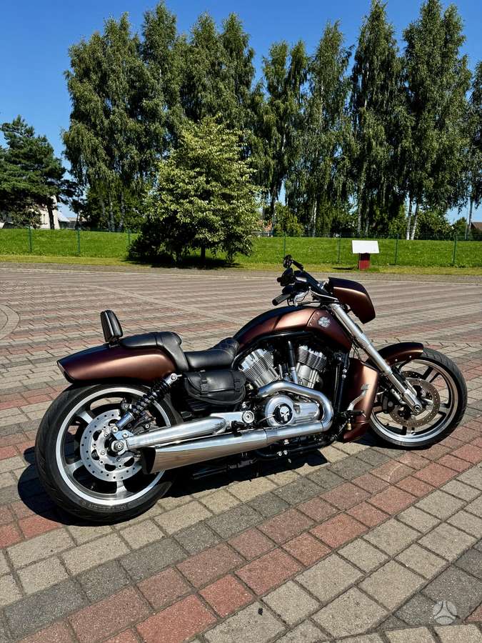 Harley-Davidson VRSCF 1250cc, choppers / cruisers / custom