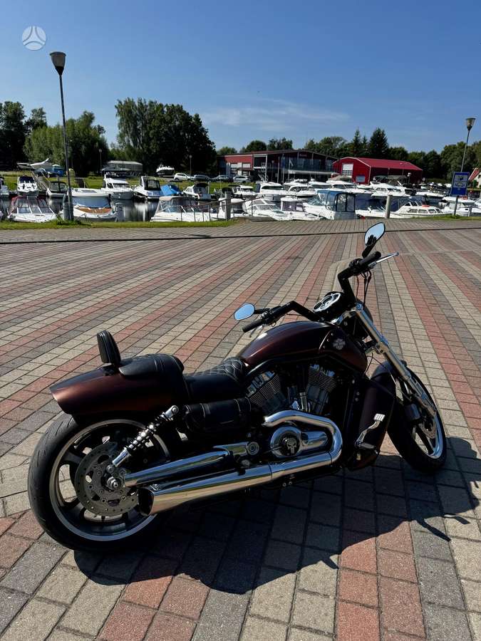 Harley-Davidson VRSCF 1250cc, choppers / cruisers / custom