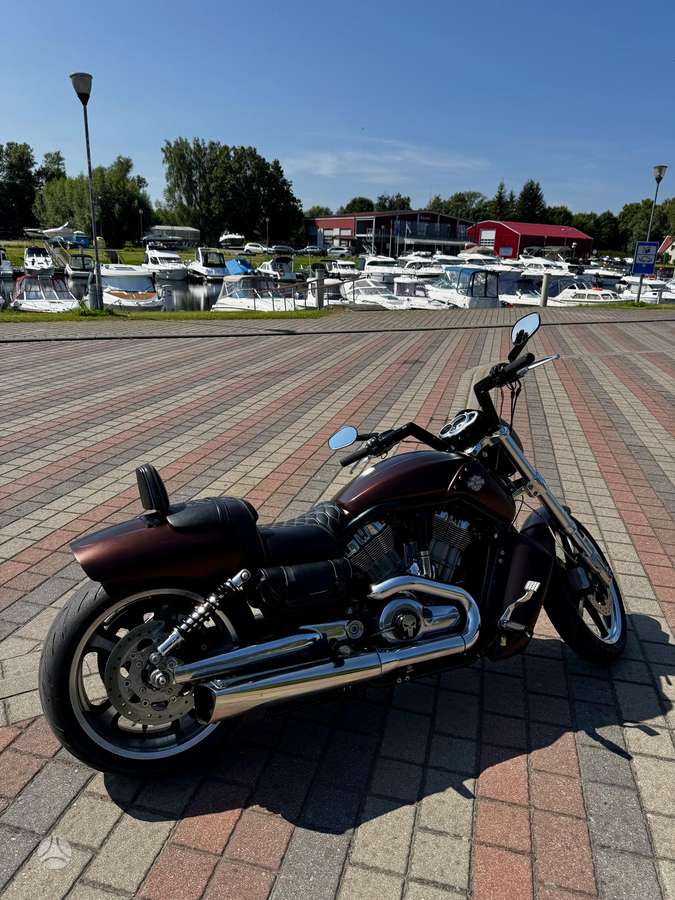 Harley-Davidson VRSCF 1250cc, чопперы / круизеры / custom