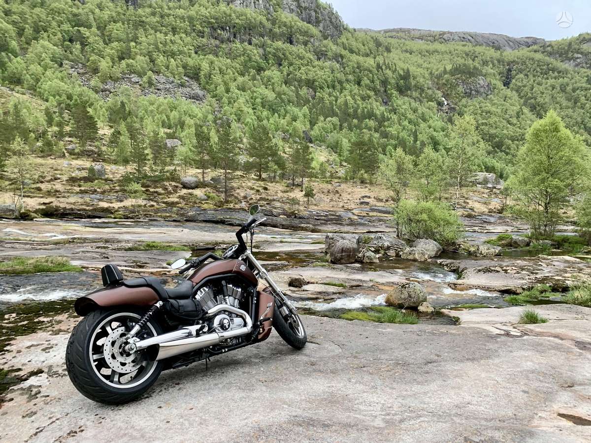 Harley-Davidson VRSCF 1250cc, чопперы / круизеры / custom