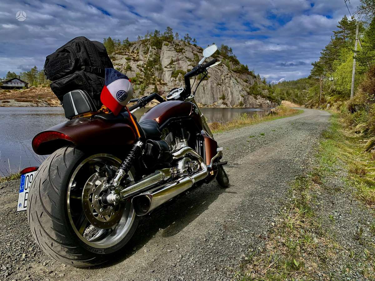 Harley-Davidson VRSCF 1250cc, choppers / cruisers / custom
