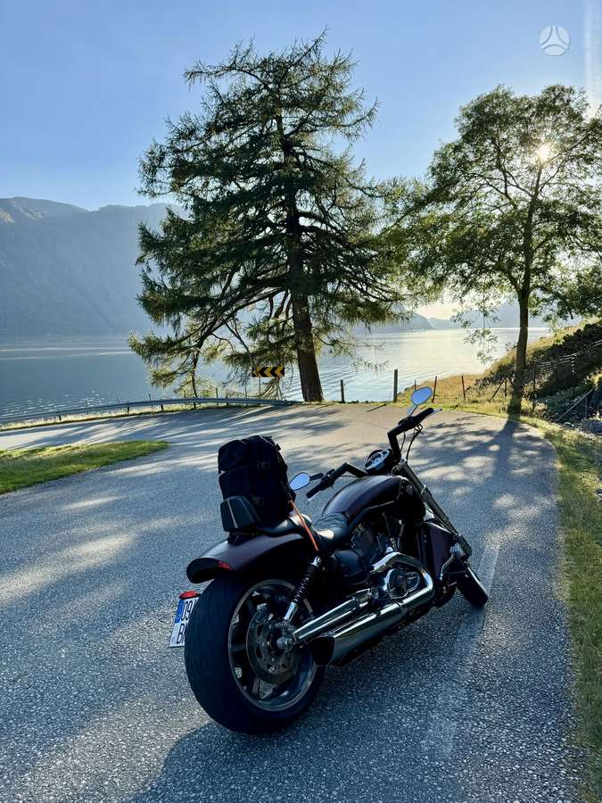 Harley-Davidson VRSCF 1250cc, чопперы / круизеры / custom
