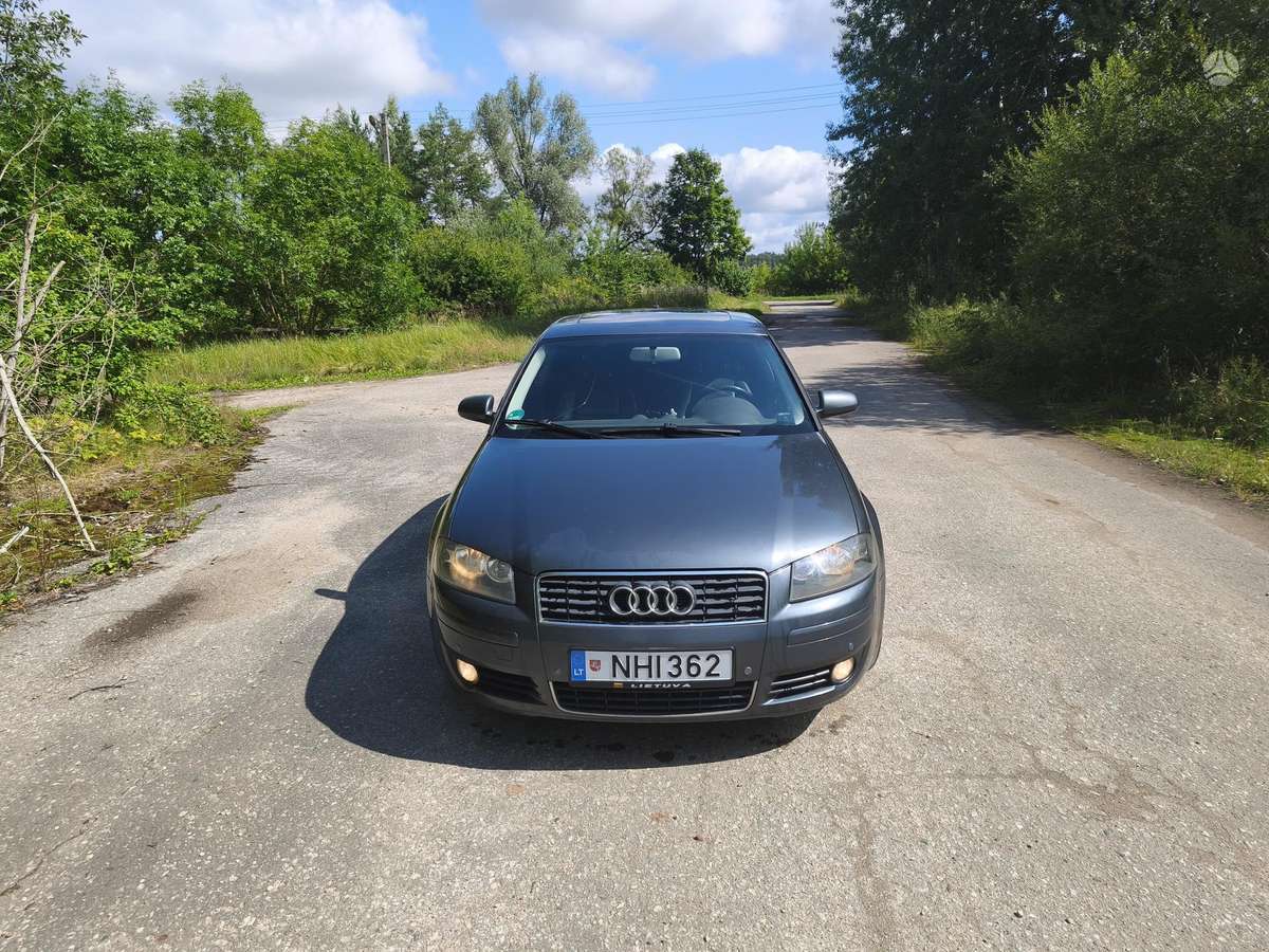 Audi A3, 2.0 l., hečbekas