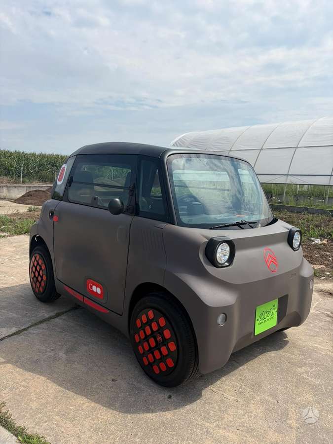 Citroen Ami, other