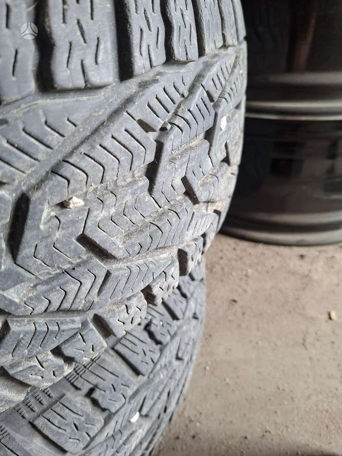 Taurus, зимние 205/55 R16
