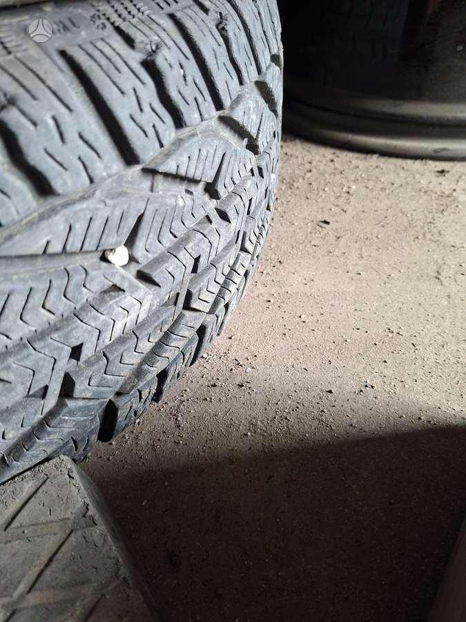 Taurus, winter 205/55 R16