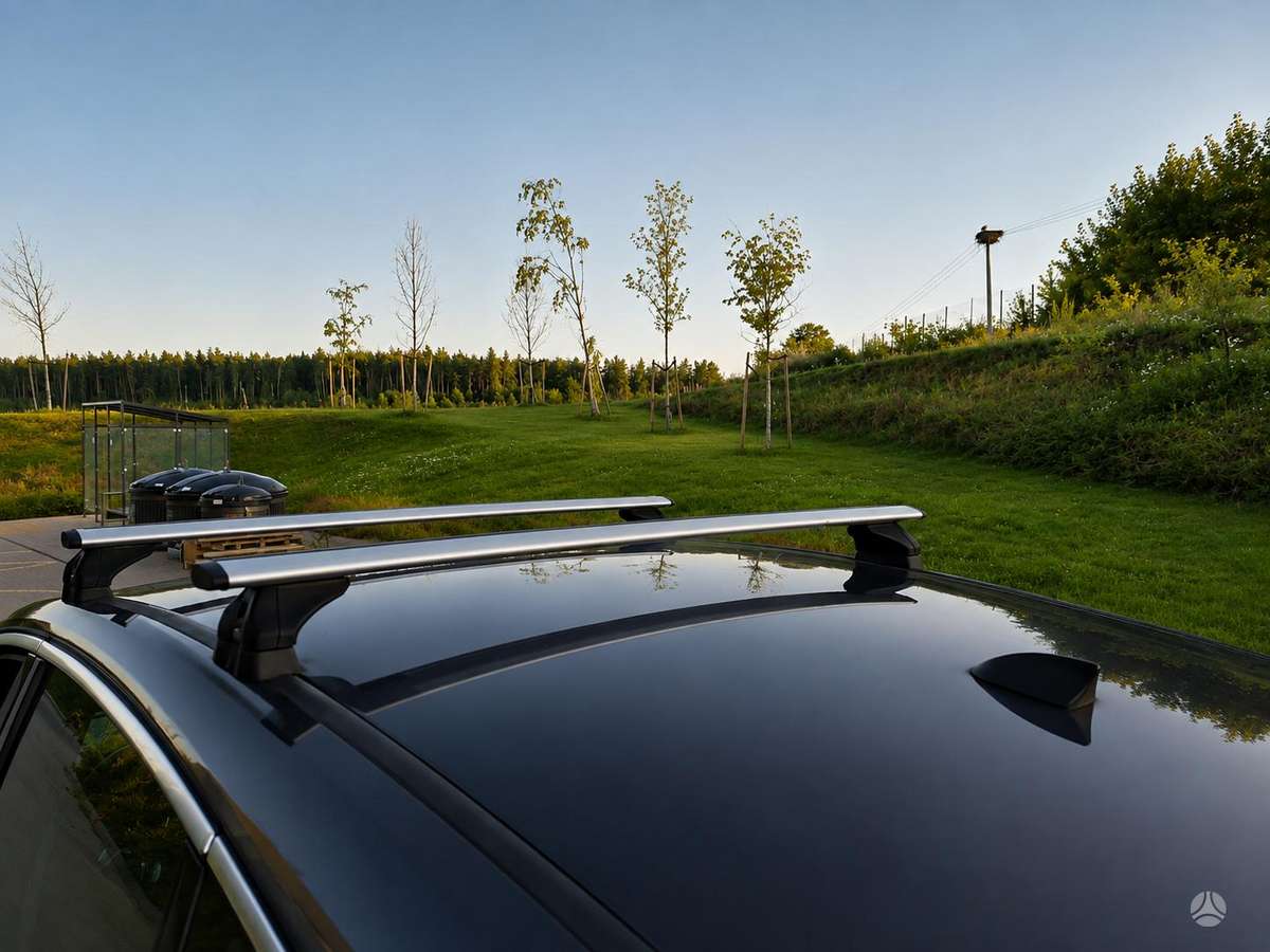 Ford S-MAX, 2.0 l., Минивэн
