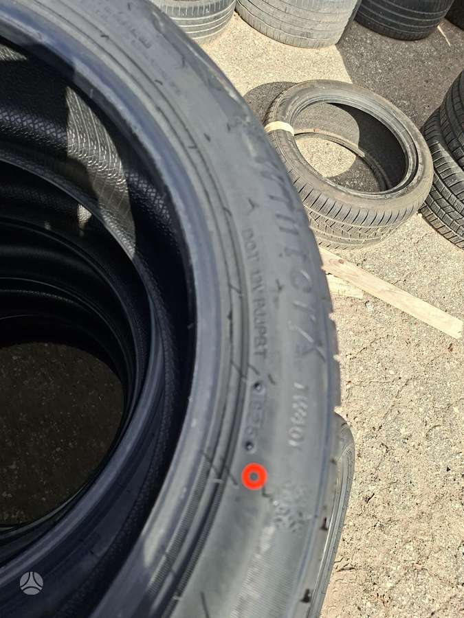Triangle, žieminės 205/55 R19