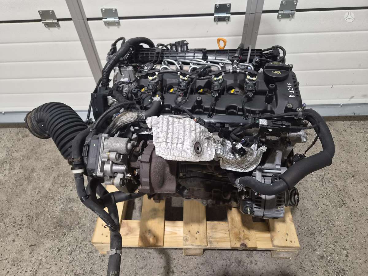 Kia Sportage, D4FD, variklis