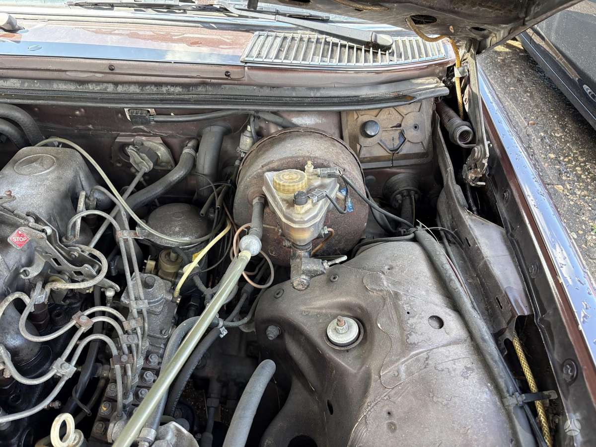 Mercedes-Benz 300, Универсал