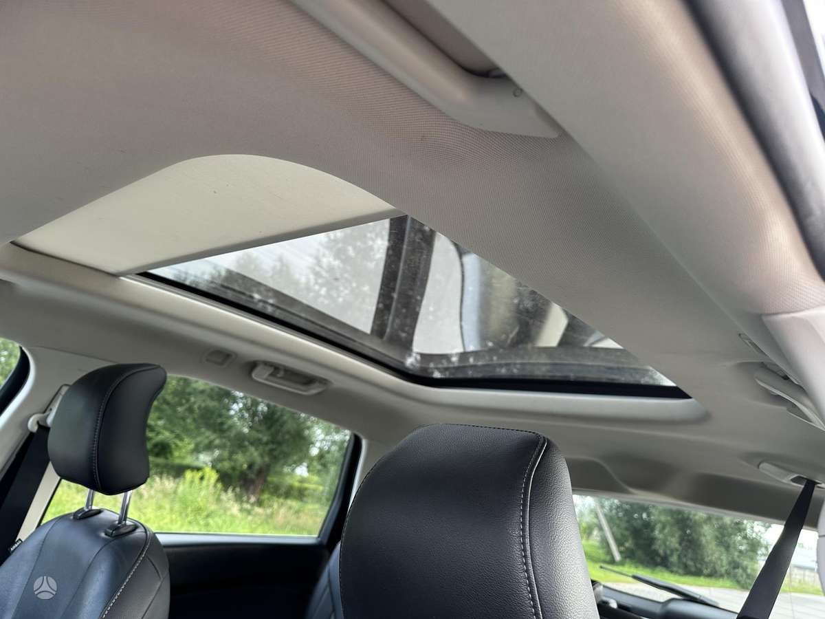 Ford S-MAX, 2.0 l., mpv / minivan