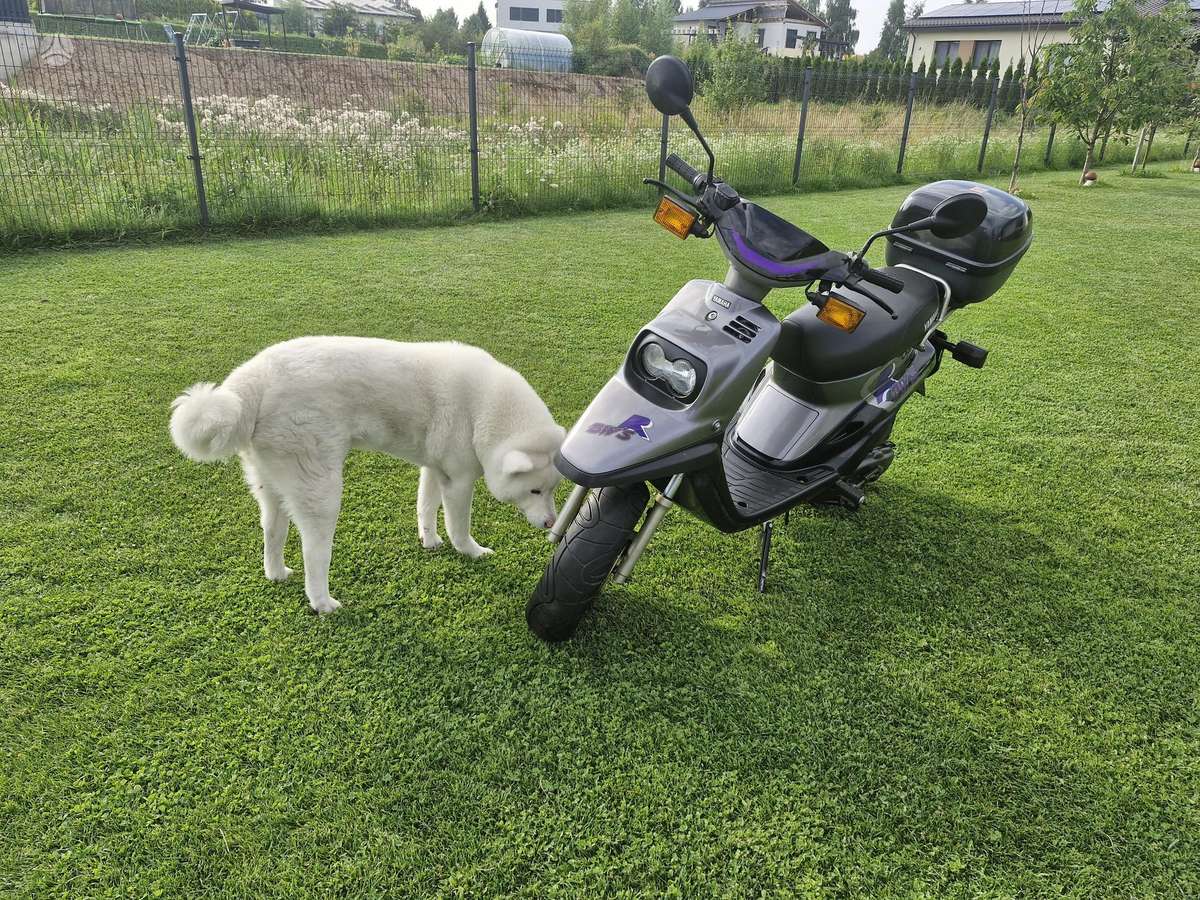 Yamaha BWS 49cc, scooters / mopeds