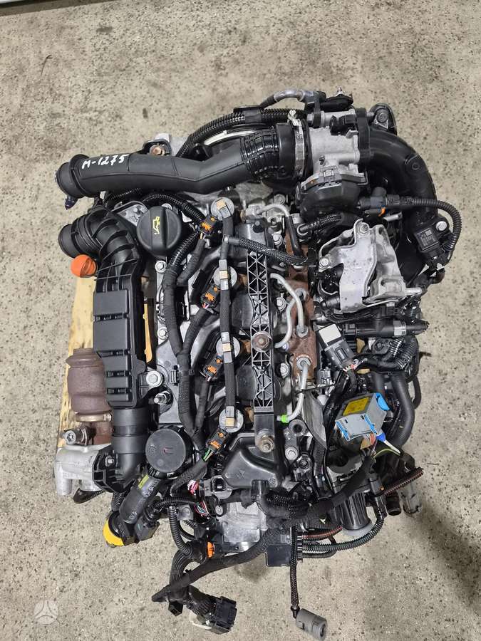 Citroen Berlingo, YH01, variklis