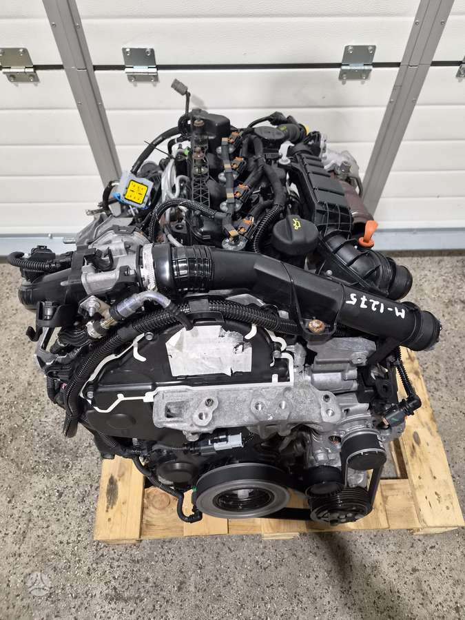 Citroen Berlingo, YH01, variklis