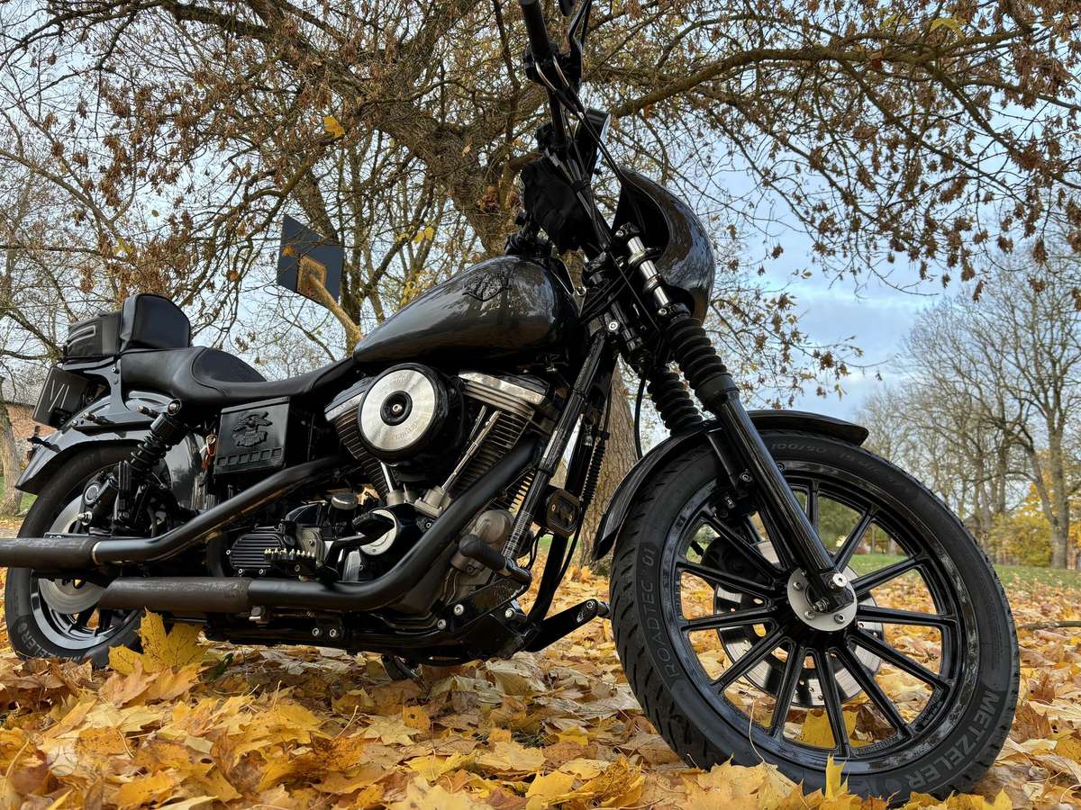 Harley-Davidson FXD 1340cc, чопперы / круизеры / custom
