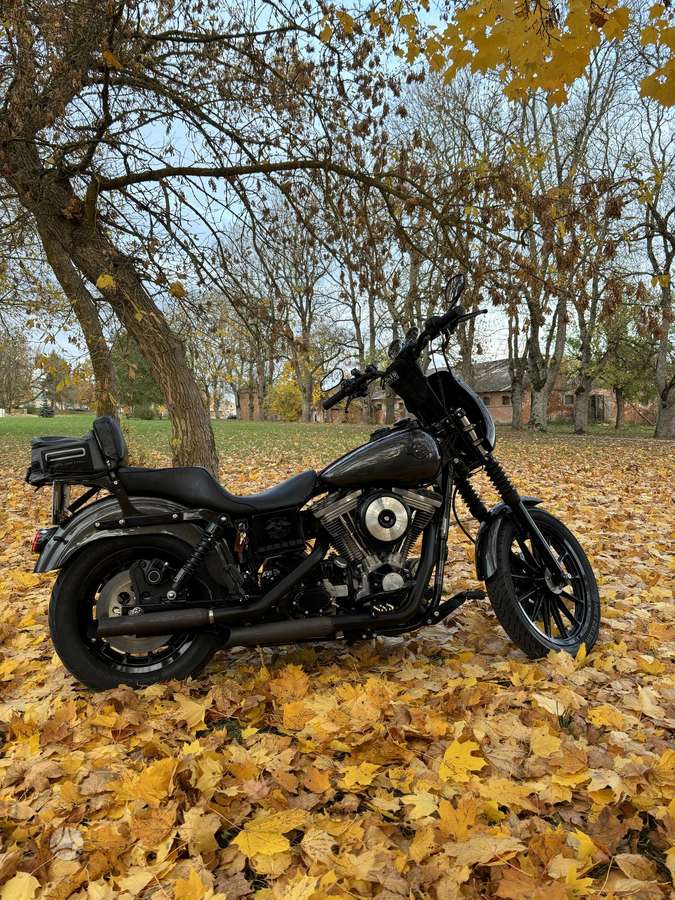 Harley-Davidson FXD 1340cc, чопперы / круизеры / custom