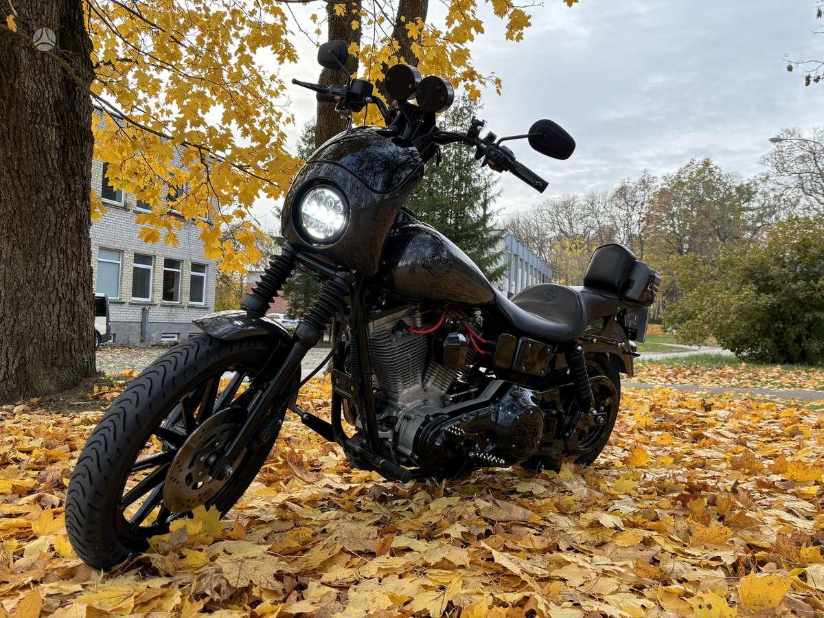 Harley-Davidson FXD 1340cc, чопперы / круизеры / custom