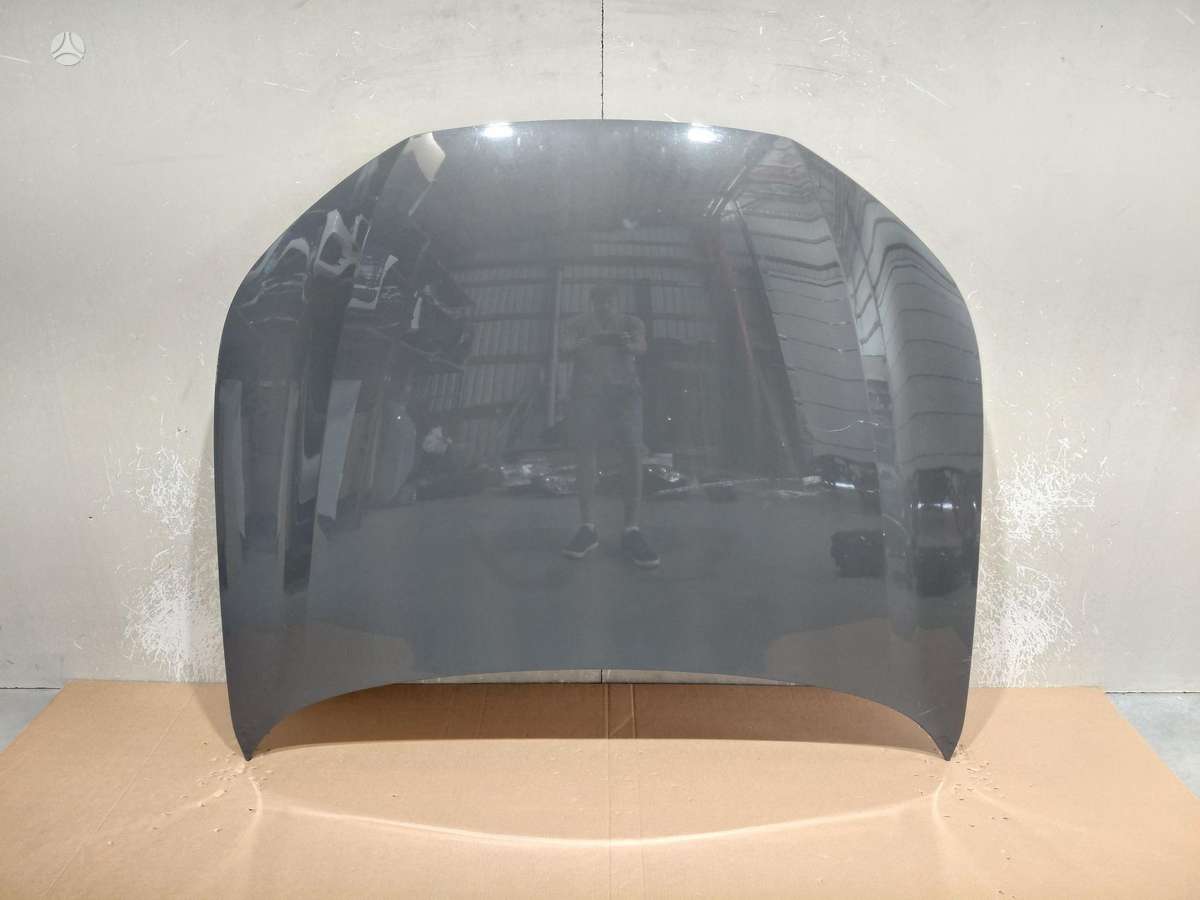 Peugeot 508 hood (front, rear)