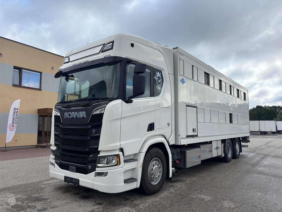 Scania R580, livestock trucks