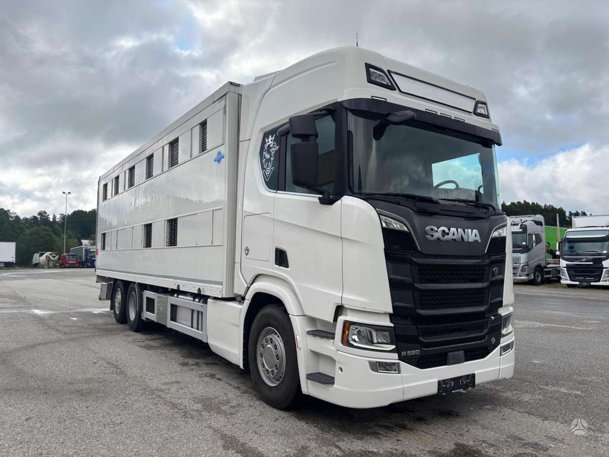 Scania R580, livestock trucks