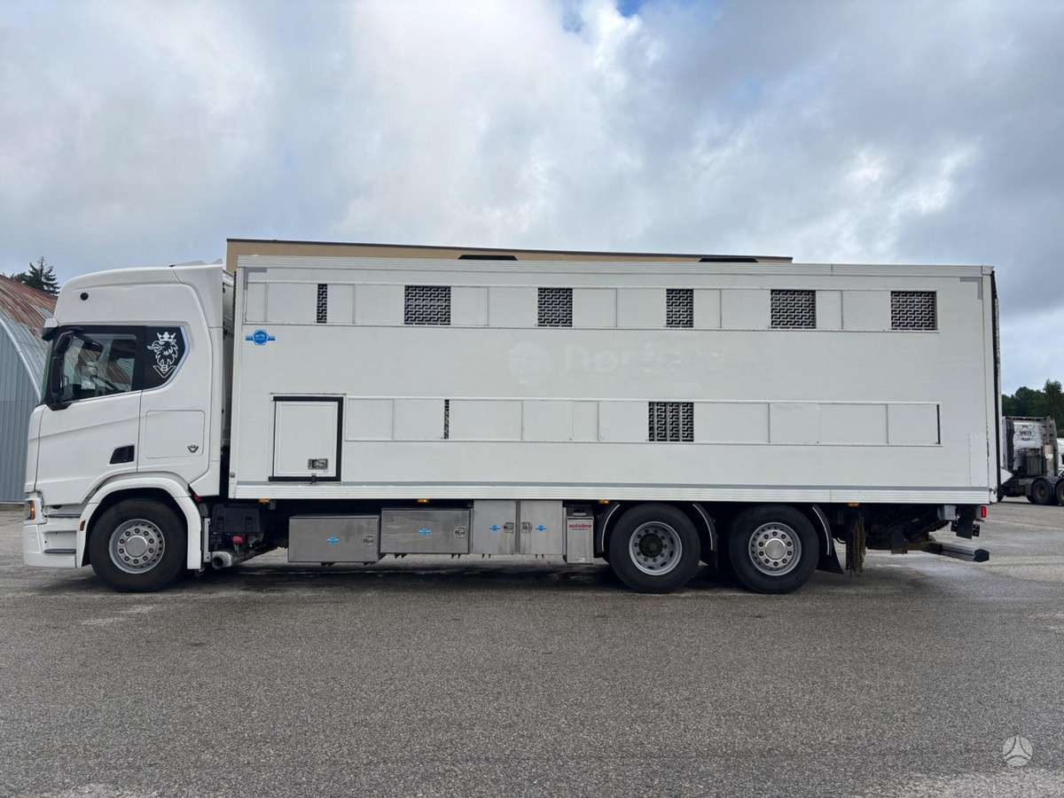 Scania R580, livestock trucks