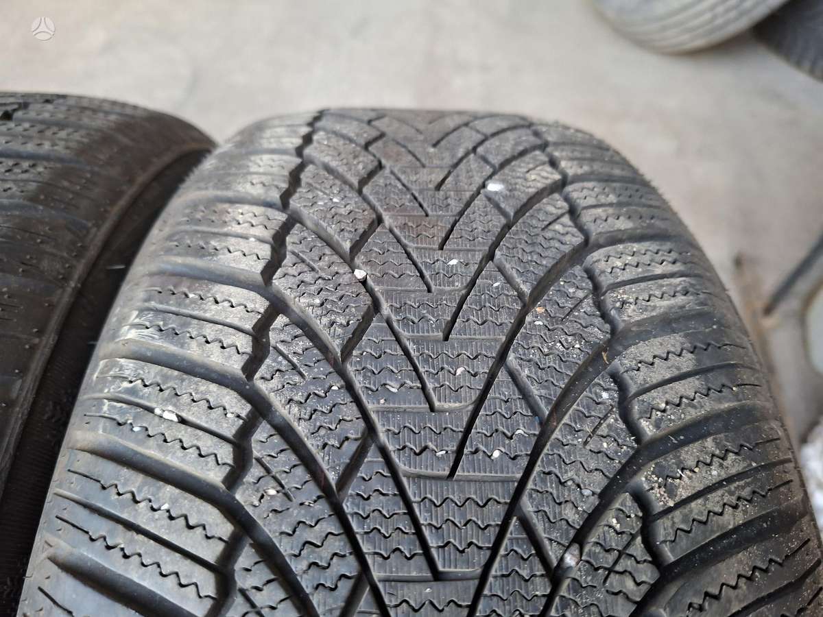 ARIVO, winter 205/50 R17