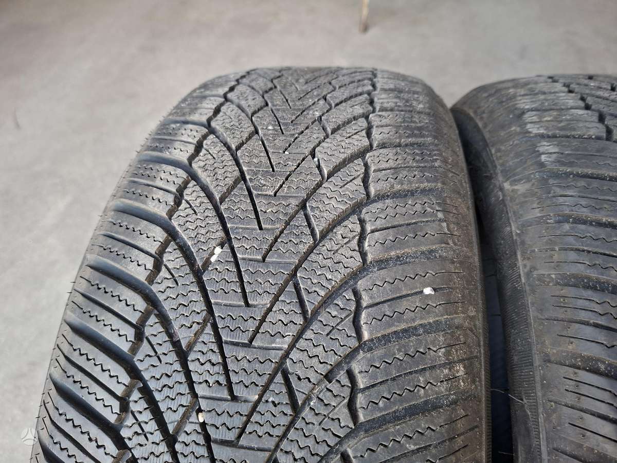ARIVO, winter 205/50 R17
