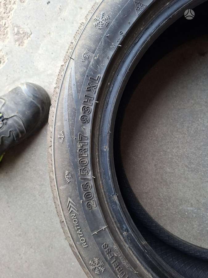 ARIVO, winter 205/50 R17