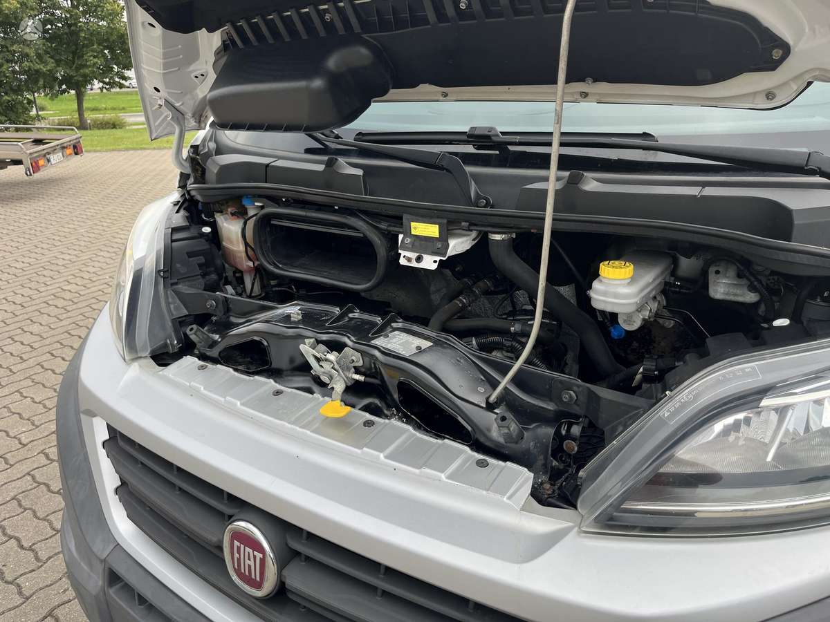 Fiat Ducato, cargo van