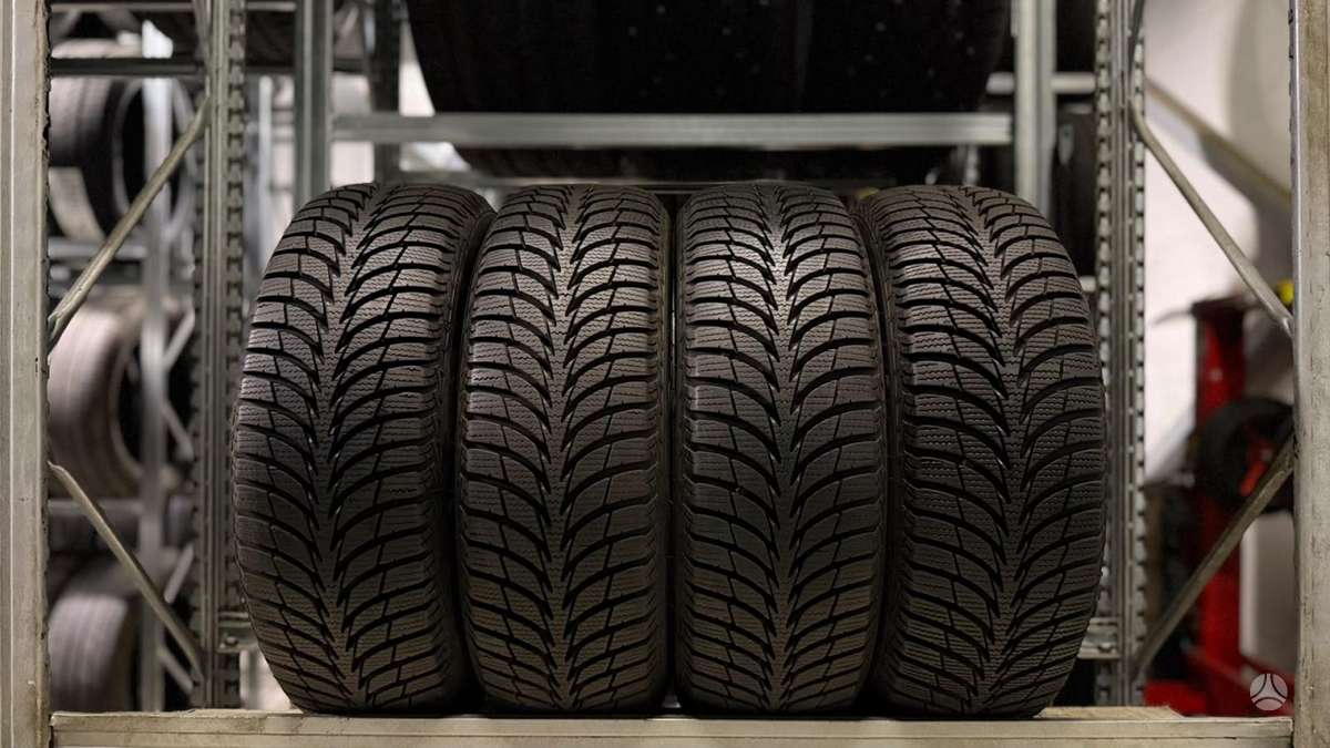 Sava Eskimo Ice, žieminės 185/60 R15