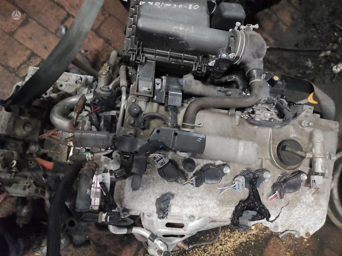 Toyota C-HR Tik variklis ir dėžė