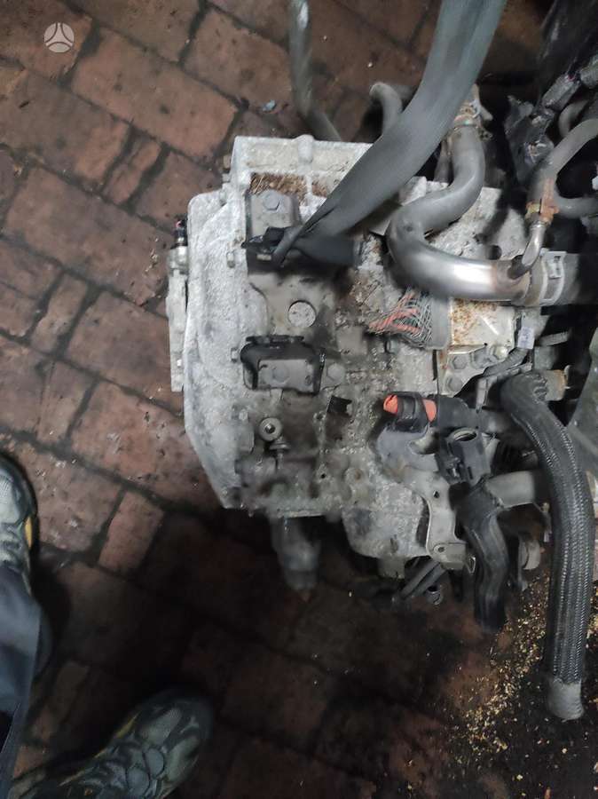 Toyota C-HR Tik variklis ir dėžė