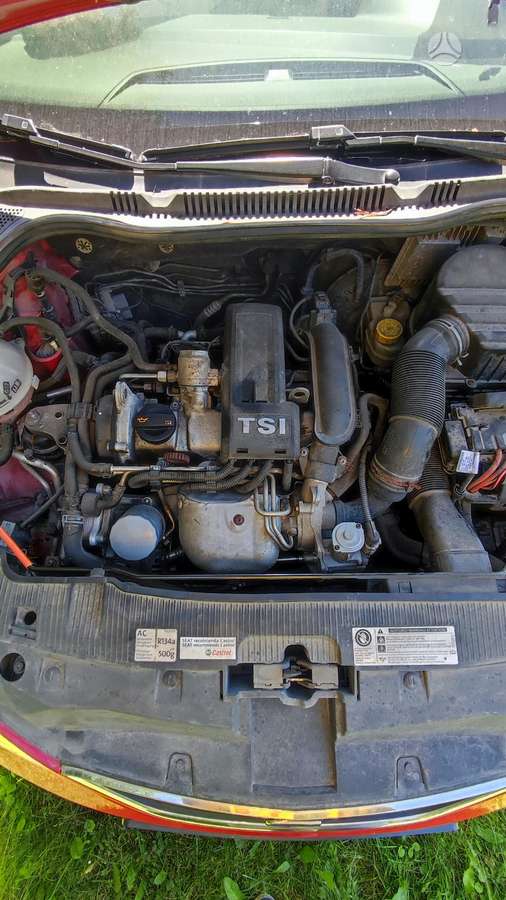 Seat Ibiza, 1.2 l., Хэтчбек