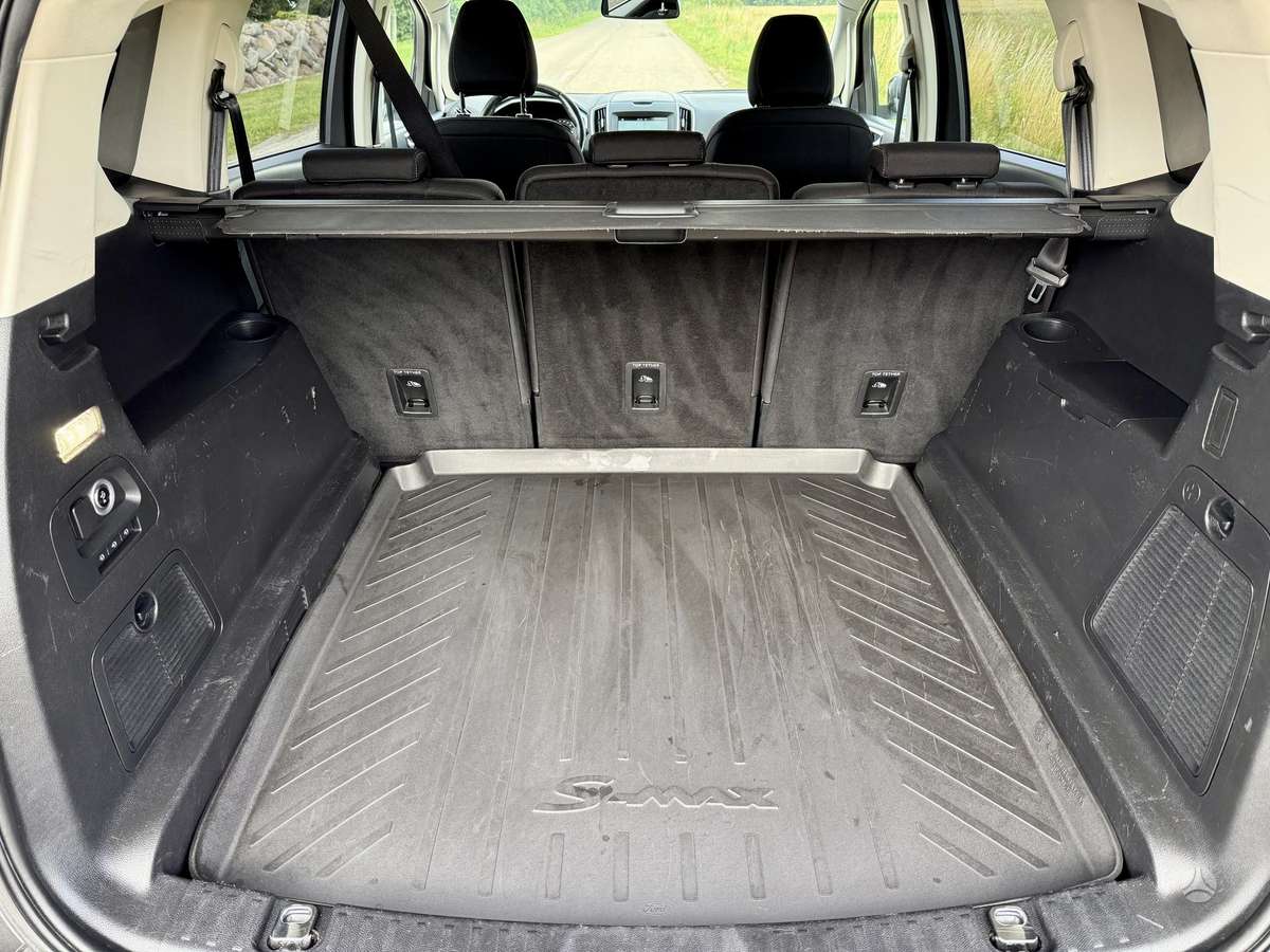Ford S-MAX, 2.0 l., mpv / minivan
