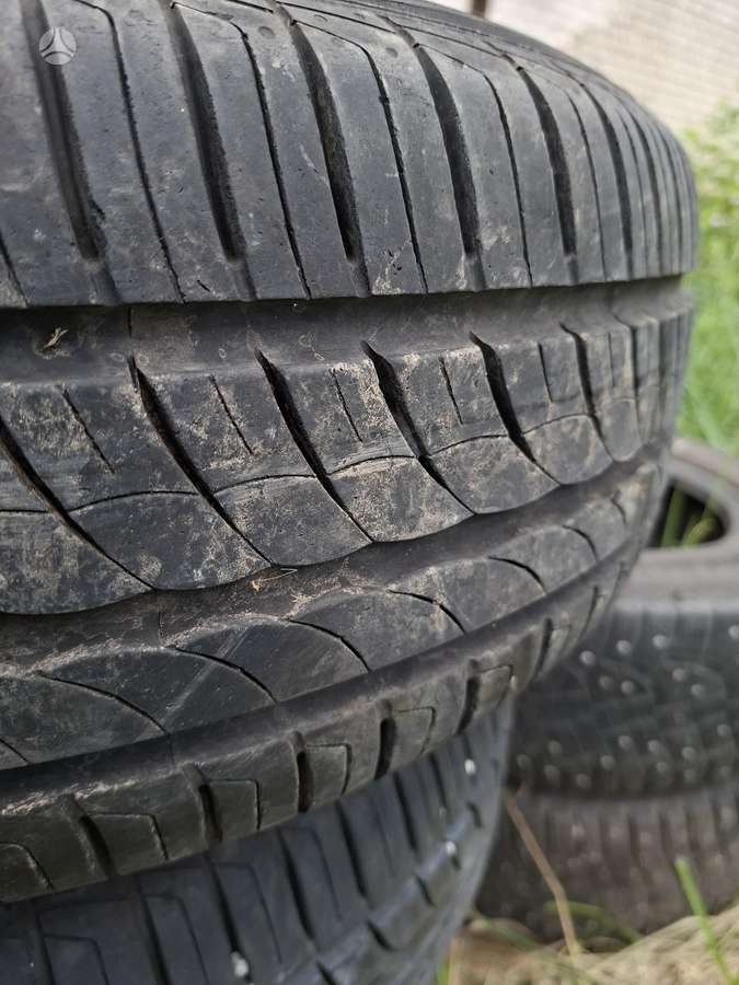 Pirelli, летние 195/55 R16