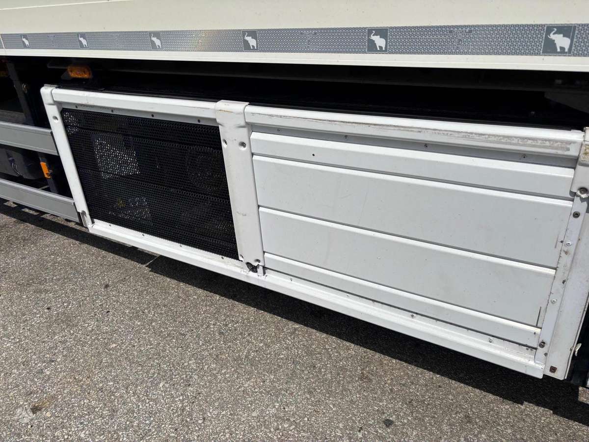 DAF XF530, refrigerated trucks