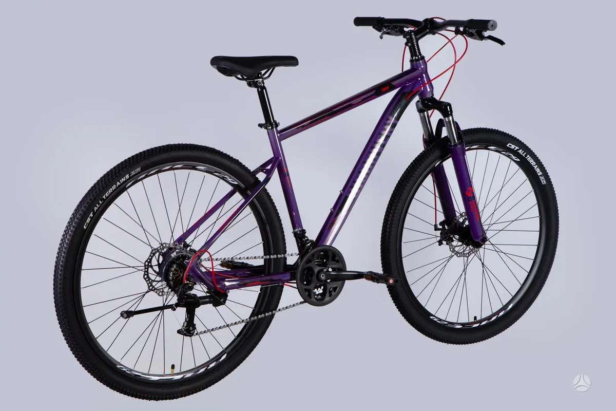 Mountain bike Cube 29″