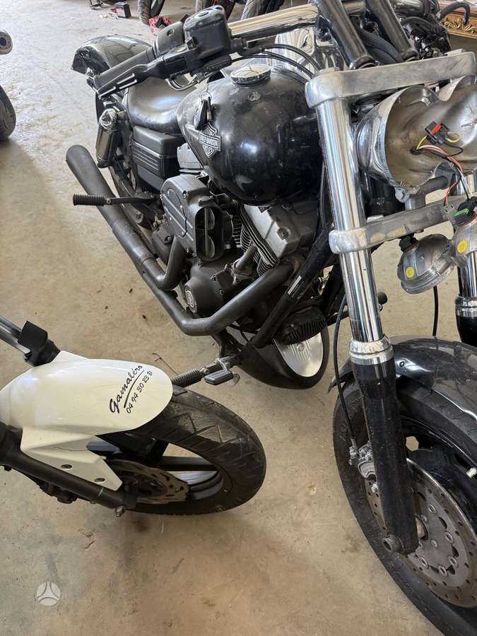 Harley-Davidson FXD 1600cc, чопперы / круизеры / custom